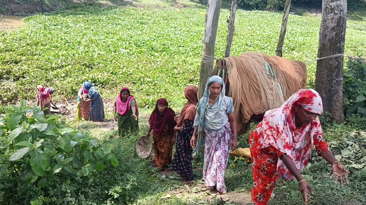 সুপারভাইজারের চাকরি বাঁচাতে বিএনপি নেতা মরিয়া